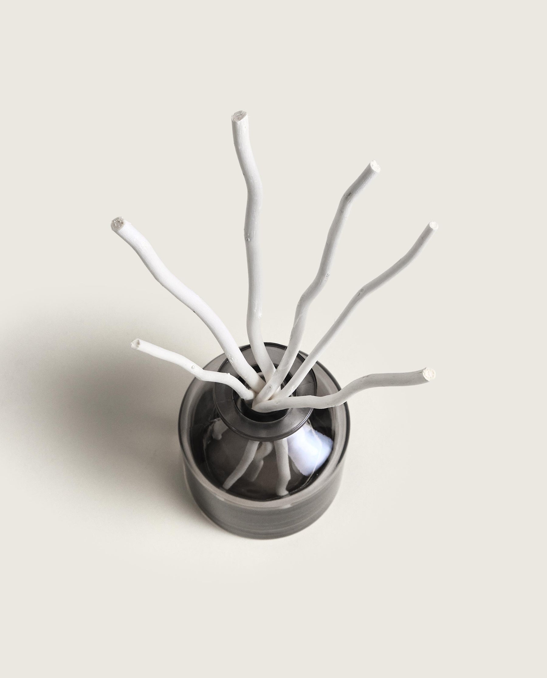 LAMPE BERGER - Raumduft Diffuser Aroma - Energy