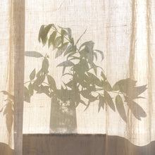 Lade das Bild in den Galerie-Viewer, L&#39;OCCITANE - Verbene Karottenblüten Duschgel
