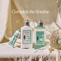 L'OCCITANE - Verbene Karottenblüten Duschgel