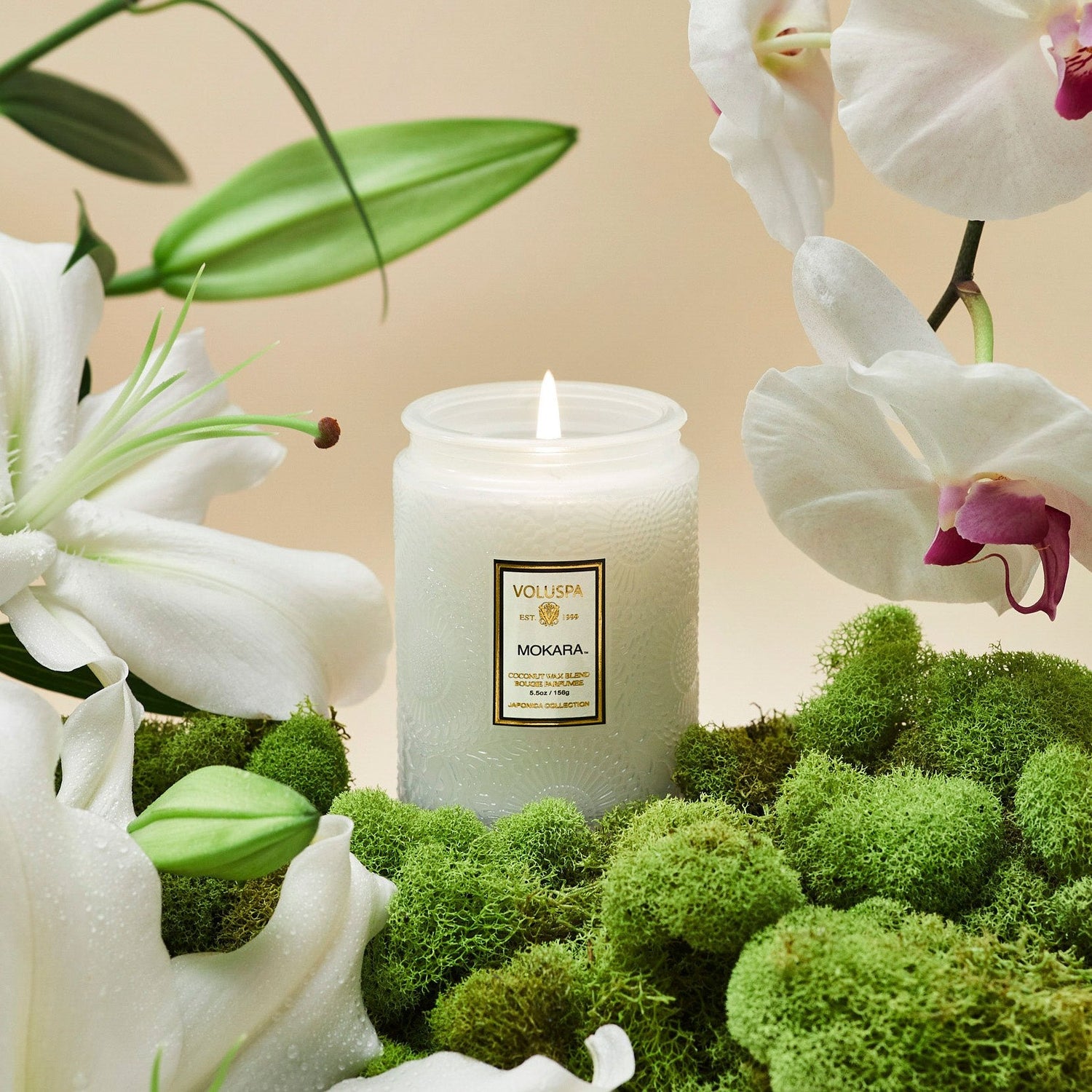 Voluspa - Mokara Small Jar Candle - Klassische Duftkerze