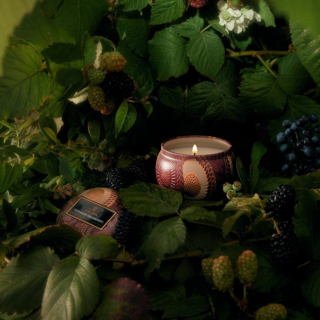 Voluspa - Foraged Wildberry Mini Tin Candle - Klassische Duftkerze