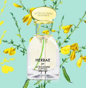 L'OCCITANE - HERBAE par L'OCCITANE SPARTIUM KÖRPERMILCH 250ML